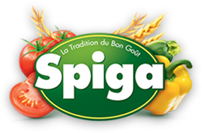 Spiga Logo